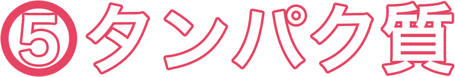 (5)タンパク質