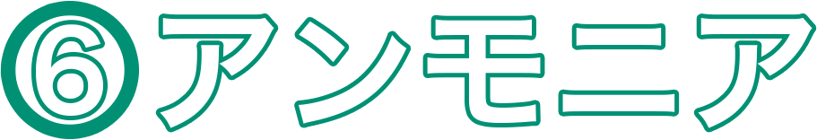 (6)アンモニア